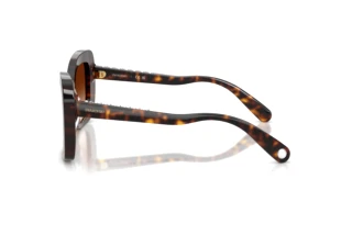 [glasses-side-view] Swarovski SK6062U (100274)