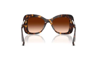 [glasses-back-view] Swarovski SK6062U (109474)