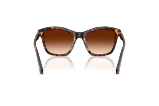 [glasses-back-view] Swarovski SK6063 (100274)