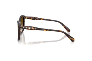 [glasses-side-view] Swarovski SK6063 (1002T5)
