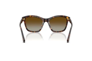 [glasses-back-view] Swarovski SK6063 (1002T5)