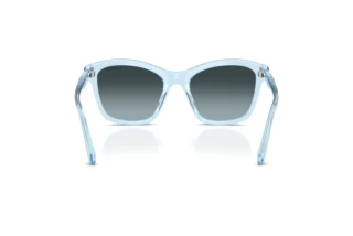 [glasses-back-view] Swarovski SK6063 (1078V1)