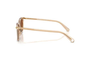 [glasses-side-view] Swarovski SK6064D (1034OK)