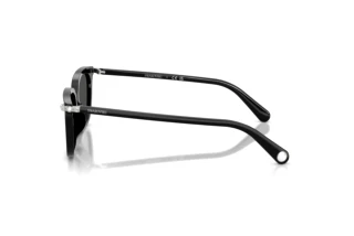 [glasses-side-view] Swarovski SK6064D (103887)