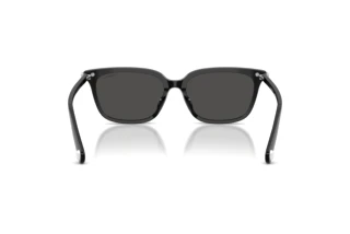 [glasses-back-view] Swarovski SK6064D (103887)
