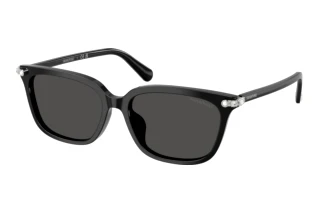 [glasses-front-view] Swarovski SK6064D (103887)