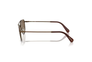 Vista lateral Swarovski SK7007 (401673)