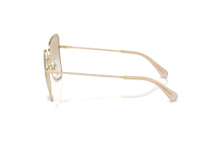 [glasses-side-view] Swarovski SK7008 (401311)