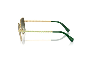 Vista lateral Swarovski SK7015 (4004E8)