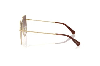 [glasses-side-view] Swarovski SK7021D (400213)