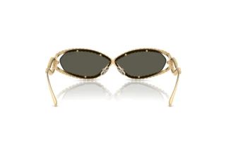 Vue arrière Swarovski SK7024 (40047P)