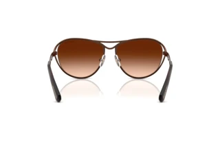 Vista posterior Swarovski SK7028 (400274)