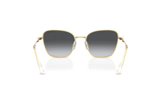 Vista posterior Swarovski SK7029 (4004T3)