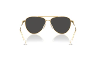 Vista posterior Swarovski SK7031 (400487)