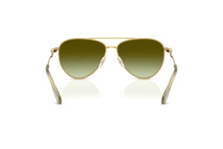 Vista posterior Swarovski SK7031 (4017E8)