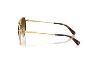 Vista lateral Swarovski SK7031 (4037T5)