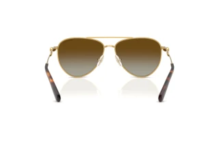 Vista posterior Swarovski SK7031 (4037T5)