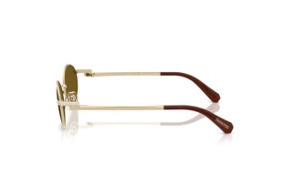 [glasses-side-view] Swarovski SK7033 (404673)