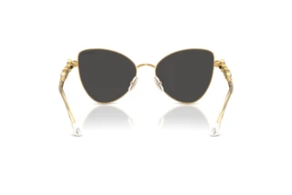 Vista posterior Swarovski SK7034 (404M87)