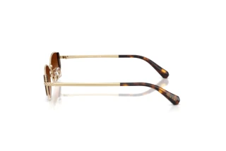 Vista lateral Swarovski SK7035D (401374)