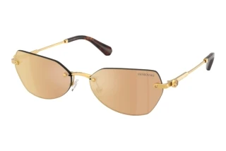 Vedere din față Swarovski SK7038 (40077J)