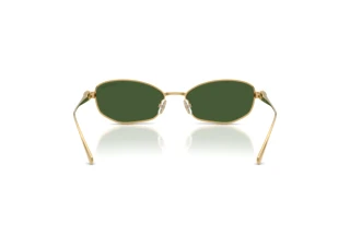 [glasses-back-view] Swarovski SK7042 (400471)