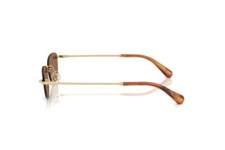 [glasses-side-view] Swarovski SK7045D (400473)