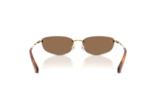 [glasses-back-view] Swarovski SK7045D (400473)