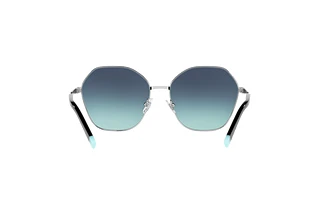 Vy bakifrån Tiffany TF3081 (60019S)