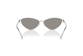 [glasses-back-view] Tiffany TF3095 (61956G)