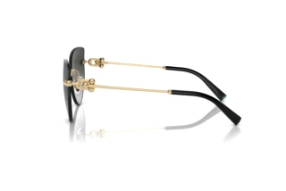 [glasses-side-view] Tiffany TF3096 (60213C)