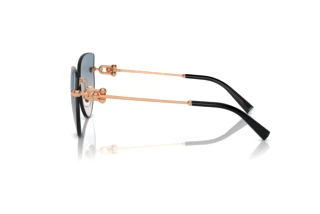 [glasses-side-view] Tiffany TF3096 (610516)