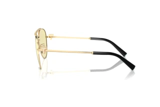 [glasses-side-view] Tiffany TF3101B (6210M4)