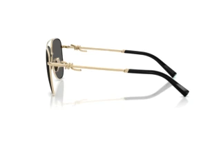 [glasses-side-view] Tiffany TF3116 (6021S4)