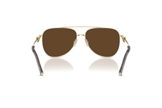 [glasses-back-view] Tiffany TF3116 (61933G)