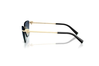 Vedere laterală Tiffany TF3120 (60219S)