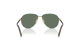 [glasses-back-view] Tiffany TF3124 (60213H)