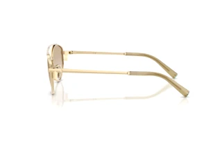 [glasses-side-view] Tiffany TF3125 (602111)