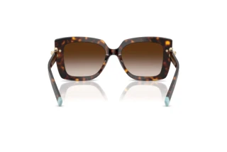 [glasses-back-view] Tiffany TF4199 (80153B)