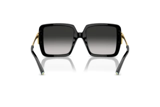 Vy bakifrån Tiffany TF4212U (80013C)