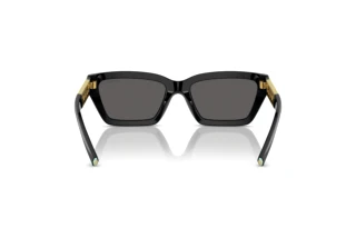 Takaa Tiffany TF4213 (8001S4)