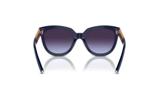 [glasses-back-view] Tiffany TF4215 (83964Q)