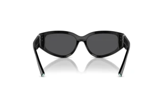 [glasses-back-view] Tiffany TF4217 (80016G)