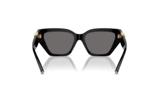 [glasses-back-view] Tiffany TF4218 (800181)