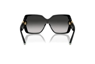 [glasses-back-view] Tiffany TF4219 (80013C)