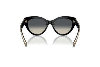 Vy bakifrån Tiffany TF4220 (800171)