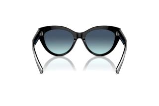 [glasses-back-view] Tiffany TF4220 (80019S)