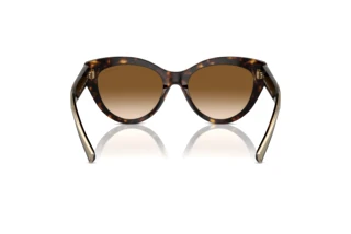 Vy bakifrån Tiffany TF4220 (801551)