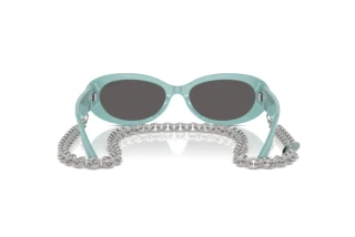 [glasses-back-view] Tiffany TF4221 (8388S4)