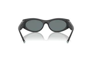 [glasses-back-view] Tiffany TF4222U (84136G)